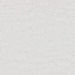 Eternal Pearl Jasmine